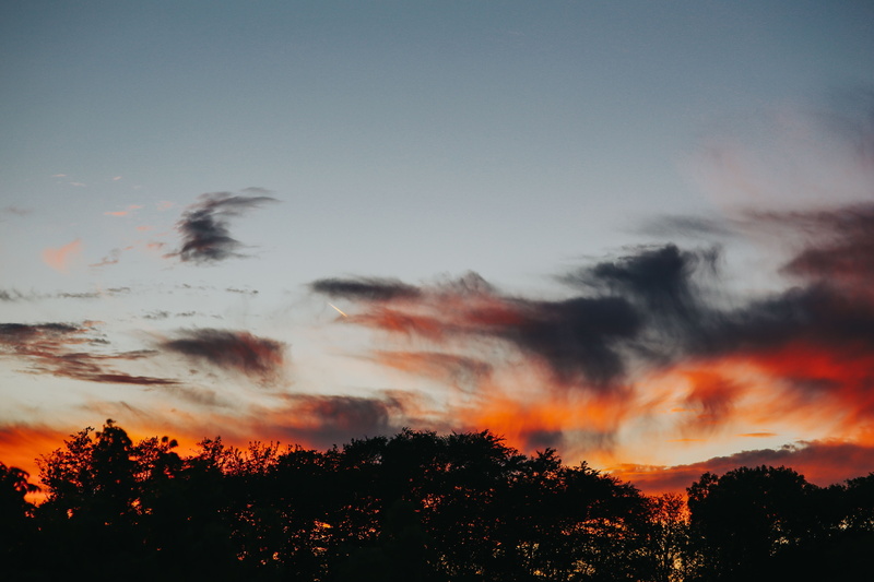 idyllic, treetop, clouds, Sunset, plant, tree, nature, silhouette, landscape, tranquil scene, growth, red, beauty In Nature, sky, trees, non-urban scene