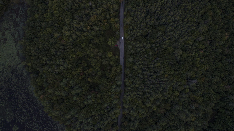 from above, roadtrip, 4K, forest, woodland, outdoors, landscape, scenics - nature, environment, day, derek, new hampshire, drone, land, no people, aerial