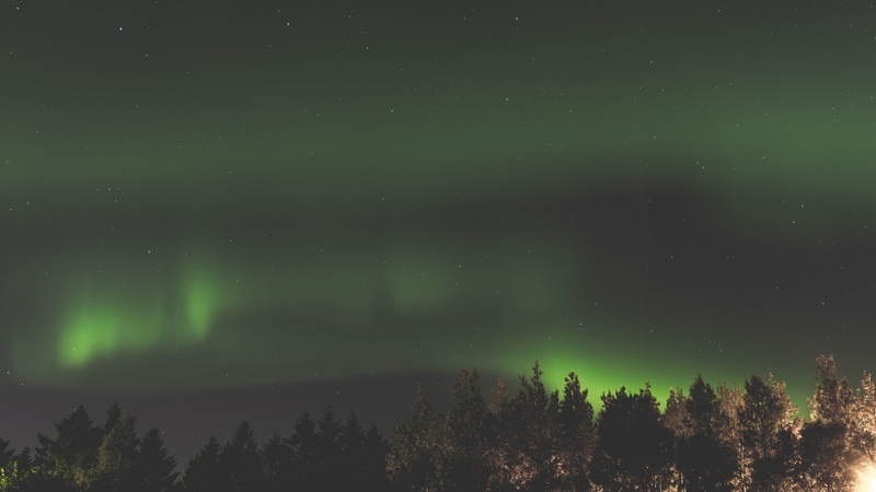 space, night, 5K, photography, beauty in nature, coniferous tree, landscape, awe, shallow, non-urban scene, space and astronomy, atmosphere, aurora, idyllic