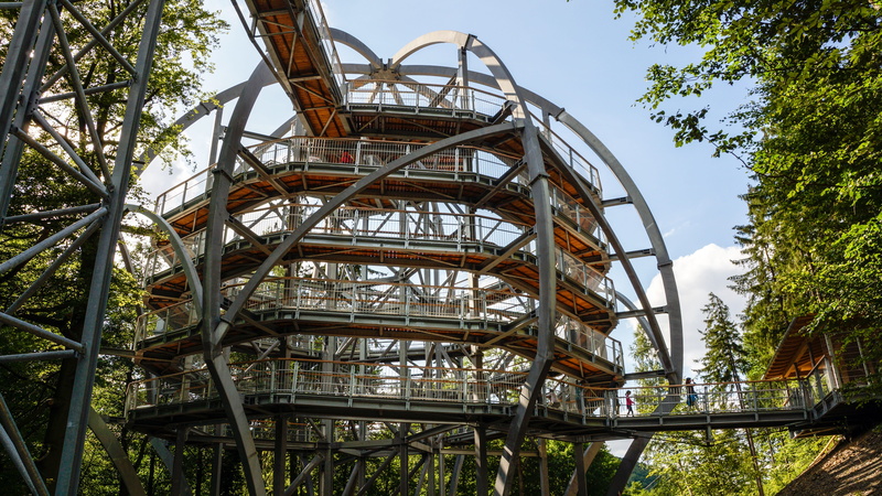 no people, harz, tree, building exterior, amusement park, built structure, foliage, path, canopy walkway, travel destinations, treetop walk, pathway, harzburg