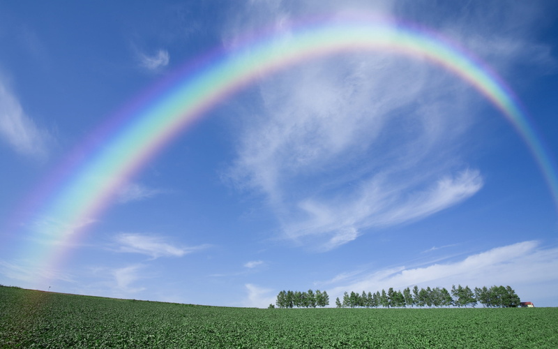 farm, environment, nature, tranquility, tranquil scene, scenics, sun, blue, landscape, sky, backgrounds, growth, land, field, horizon, idyllic, rainbow