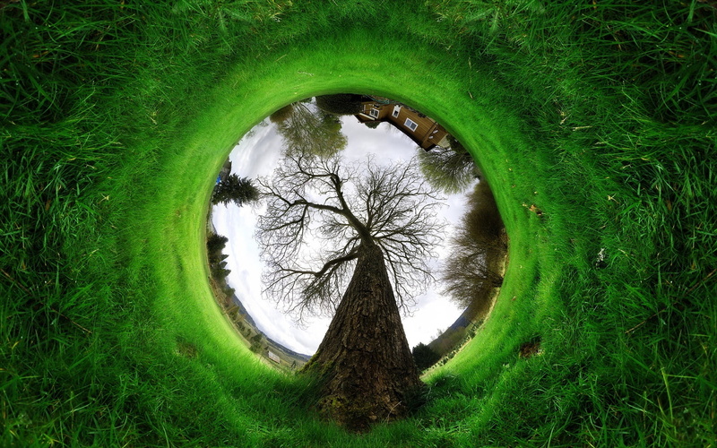 circle, from below, illusion, effect, krone, ring, grass, 720P, tree, branches