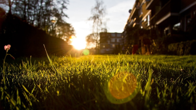 1080P, from below, patches of light, grass, sun