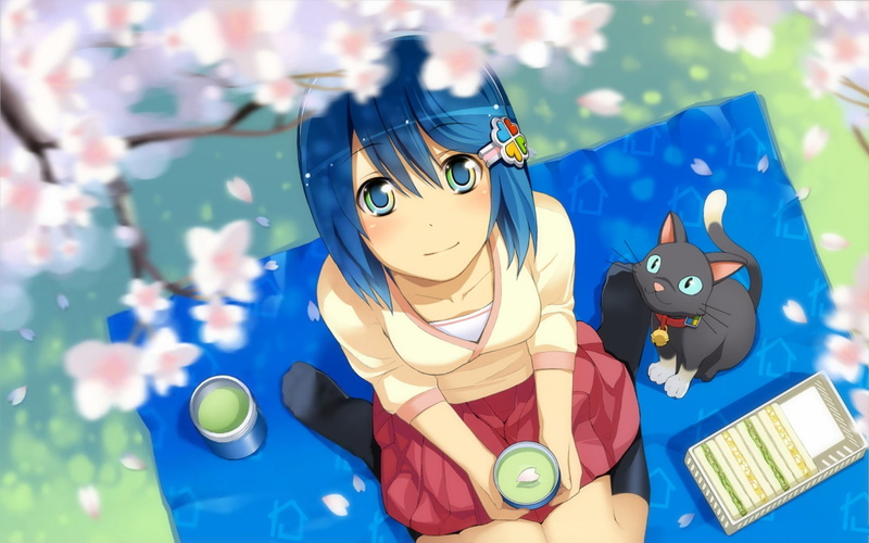 1080P, Madobe Nanami, anime, blue hair, cat, anime girls
