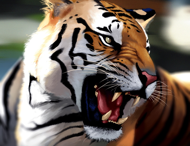 mouth open, 4K, animal mouth, animals In The Wild, rage, white, whisker, art, tropical Rainforest, face, large, bengal Tiger, wildlife, animal Skin, zoo
