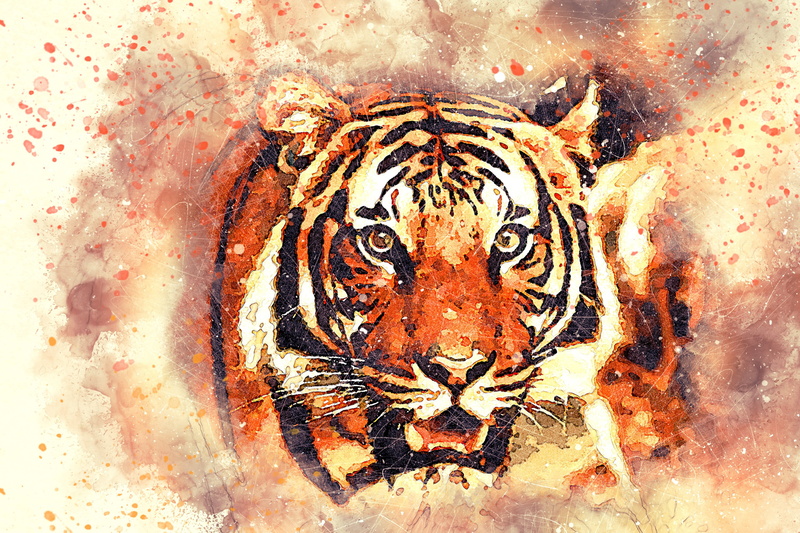 big Cat, one animal, bengal Tiger, undomesticated Cat, large, 2K, aggression, muzzle, animal themes, portrait, painting, art, animal markings, illustration