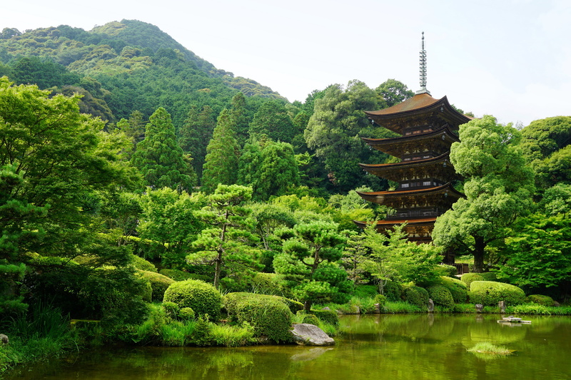 Japan, outdoors, Yamaguchi, brown, spirituality, belief, tranquility, waterfront, greens, tree, green color, wooden, religion, nature, plant, beauty in nature