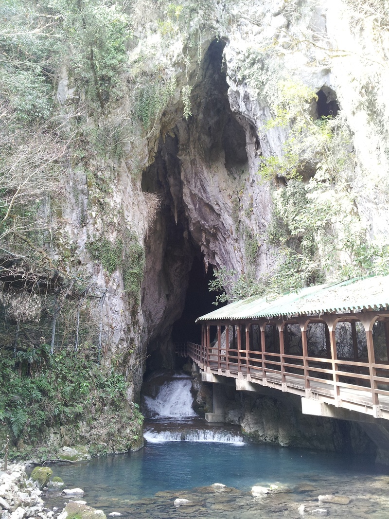 japans cave, cave, beauty in nature, outdoors, plant, connection, day, transportation, bridge, akiyoshi do cave, arch, no people, architecture, flowing water