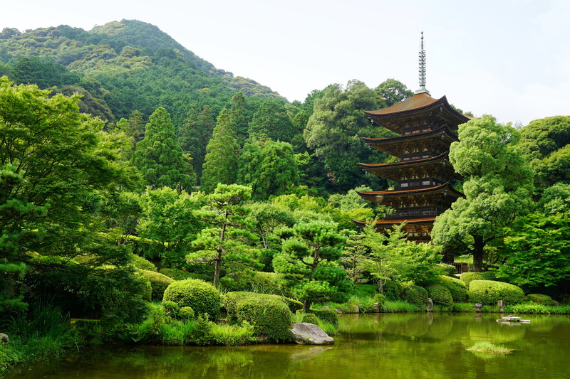 yamaguchi, japan, pond, 4K