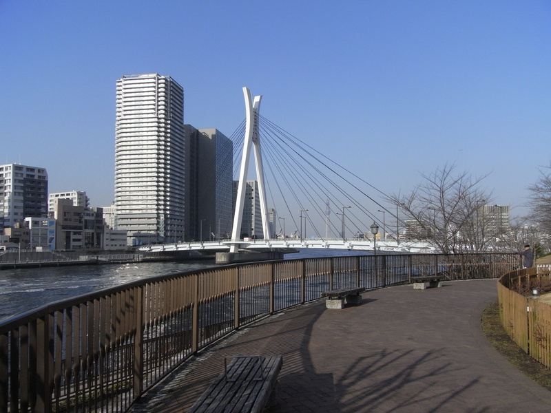 architecture, 2K, office building exterior, building exterior, cable-stayed bridge, city, tsukishima walks, canal, water, sky, modern, bridge, nature