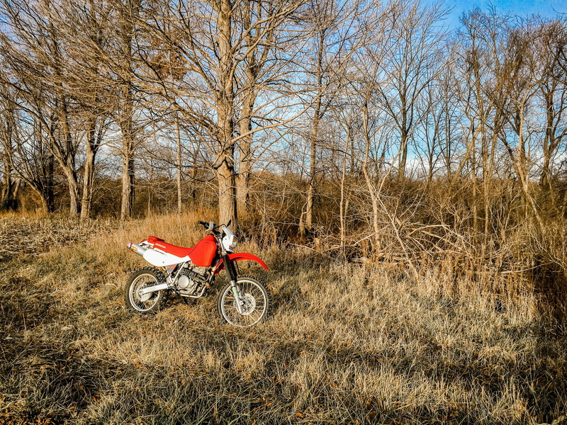 nature, lifestyles, water, united states, plant, bare tree, land, mode of transportation, honda, men, one person, riding, dual sport, leisure activity