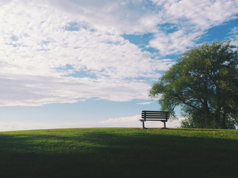 near, relaxation, white, park bench, nature, green Color, bench, Edge of America, wooden, black, landscape, plant, field, cloud - sky, environment, sky