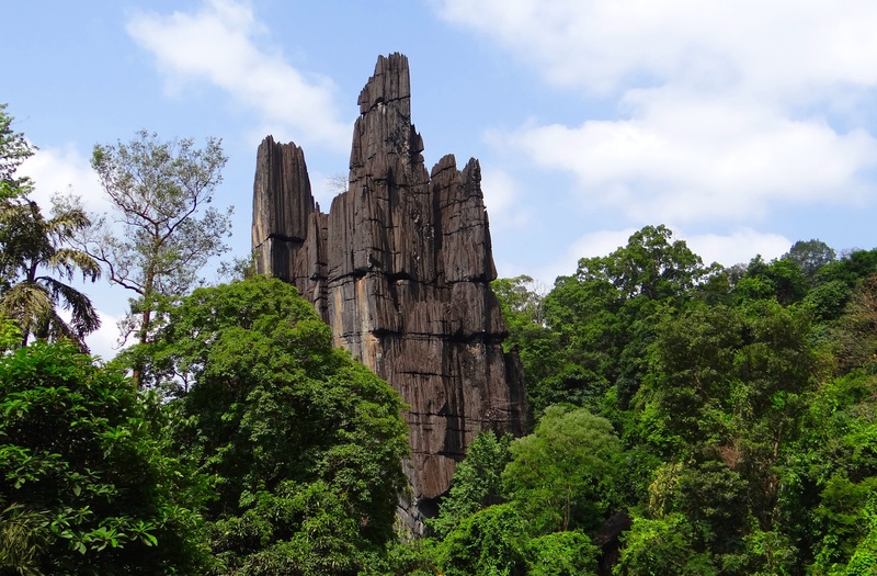 karst, travel destinations, no people, rock, outdoors, green color, geological, plant, landscape, beauty in nature, sky, belief, india, erosion, built structure