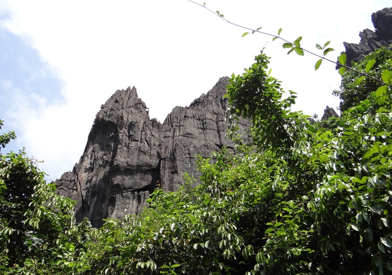 green color, tranquil scene, karnataka, yana, limestone, beauty in nature, formation, india, rock formation, land, erosion, bhairaveshwar shikhar, growth