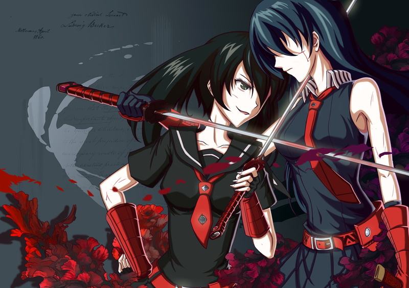 Akame ga Kill!, anime girls, Akame, sword, Kurome, 2K