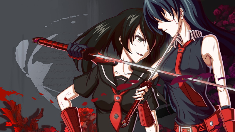 Kurome, Akame ga Kill!, gray hair, 1080P, black hair, katana, blood, anime, Akame, smiling, anime girls