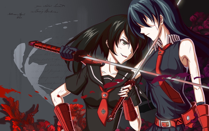 Akame ga Kill!, Akame (Akame Ga Kill!), Kurome (Akame Ga Kill!), Anime, 2K