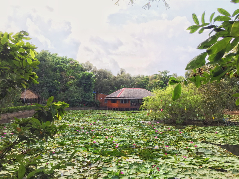 cao lãnh, sky, building exterior, plant, nature, house, beauty in nature, building, flowering plant, built structure, 2K, day, vietnam, flower, plant part