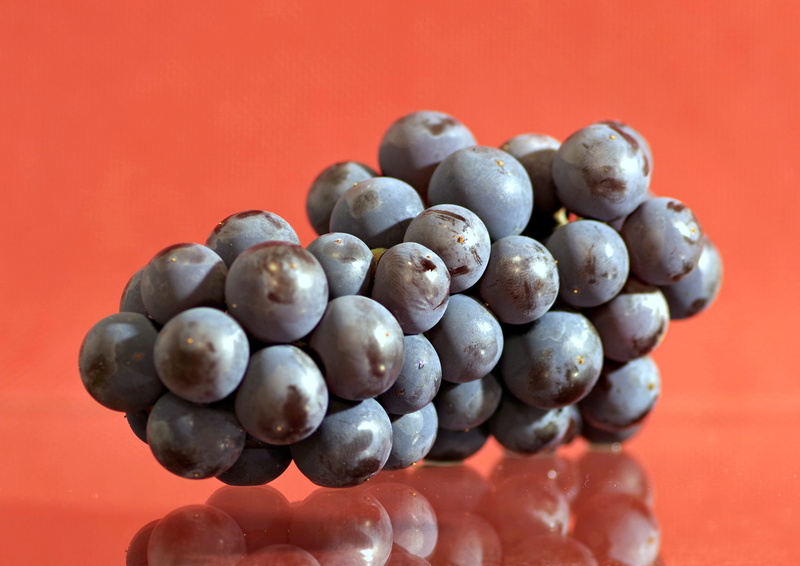 group, large group of objects, finger, book, wine, plant, vines, studio shot, body part, bunch of grapes, mood, healthy food, human hand, violet, composition