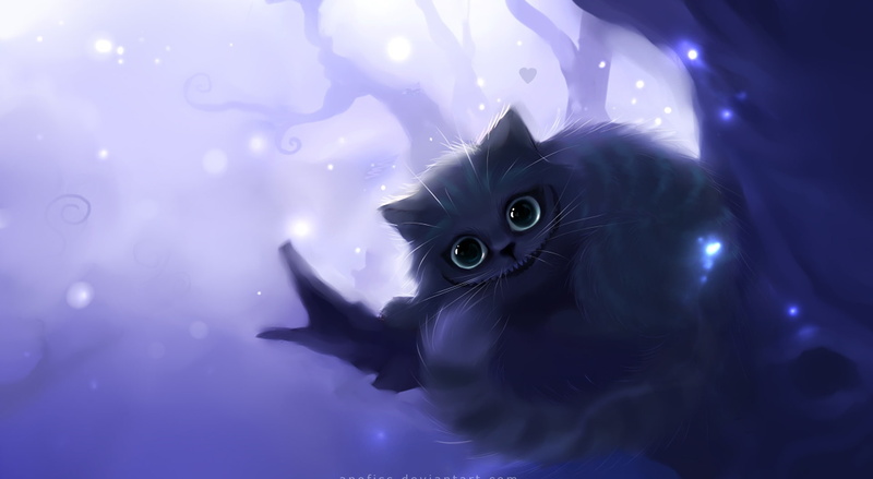 Smile, water, cheshire, Kitty, pets, Fantasy, 1080P, indoors, domestic, Cute, Artistic, animal eye, no people, swimming, feline, whisker, domestic cat