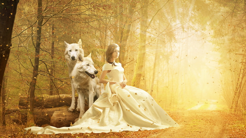 adult, two, yellow, canine, women, tree, magic, scenic, forest, light, people, wood, day, leaves, dog, white, autumn, nature, 2K, wolf, plant, scenery
