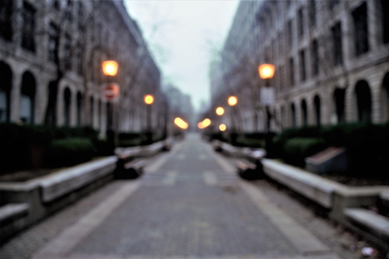lights, light, street, fog, old montreal, urban, no people, outdoors, tree, street art, path, illuminated, montreal, nature, architecture, concept, canada