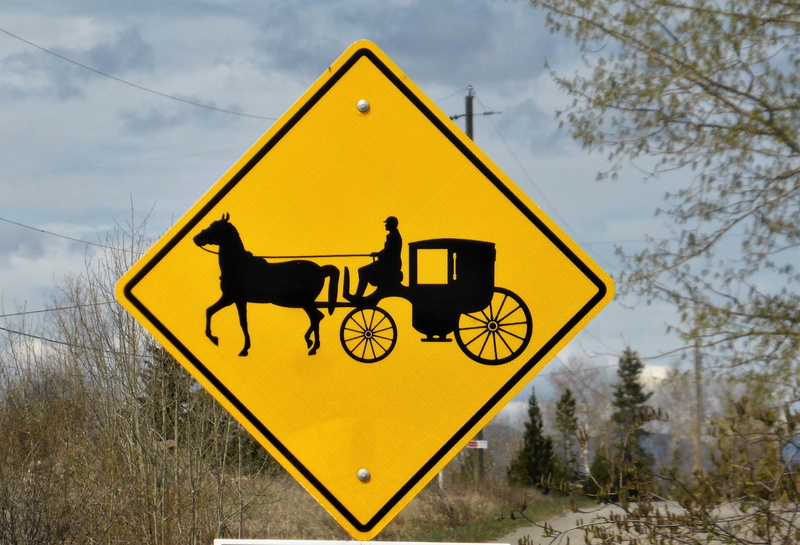 plant, cinderella, sign, mammal, no people, coach, tree, warning symbol, antique, coachman, horse and carriage, warning sign, wheels, crossing sign, outdoors