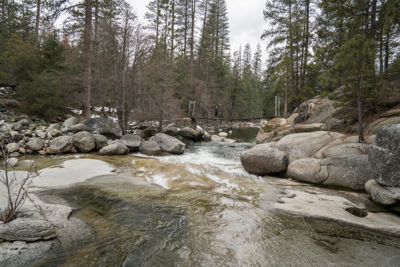 yosemite, tranquility, nature, tree, trees, woodland, outside, land, yosemite national park, life, rock - object, flowing, motion, national park, day, plant