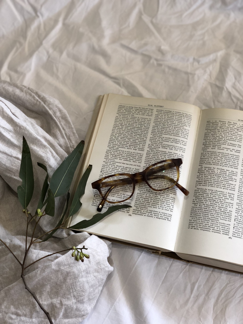 no people, frame, high angle view, nature, publication, literature, page, leafed, still life, eyeglasses, plant, furniture, flower, slow living, open, book