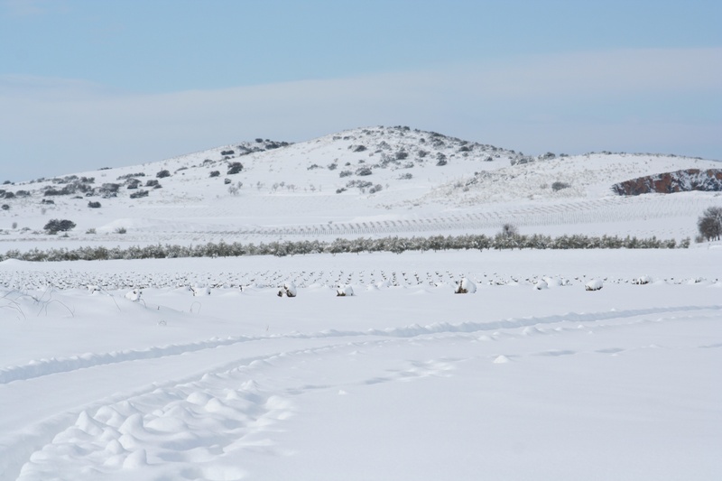 day, land, beauty in nature, tranquility, plain, scenics - nature, landscape, 2K, treads, non-urban scene, tranquil scene, winter, blue, white color, environment