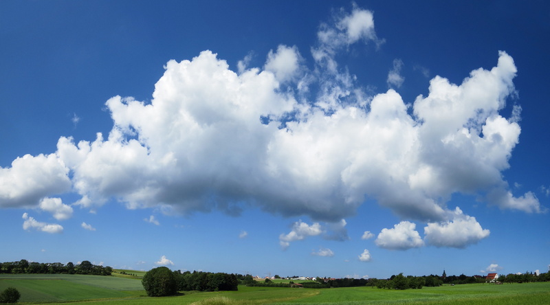 mood, horizon over land, swiss francs, tree, blue, environment, plain, grass, 5K, summer, daytime, nature, forest, beauty in nature, scenics - nature