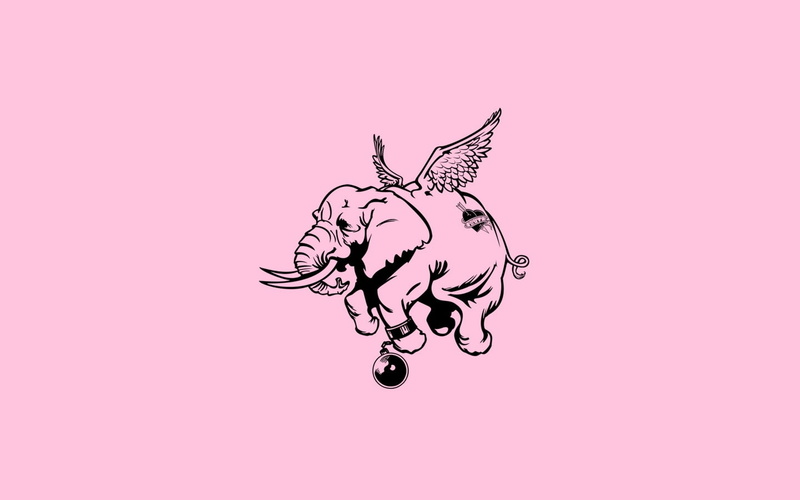 animal representation, pattern, craft, creativity, no people, studio shot, 720P, pink background, elephant, design, love, nature, purple, indoors, fantasy