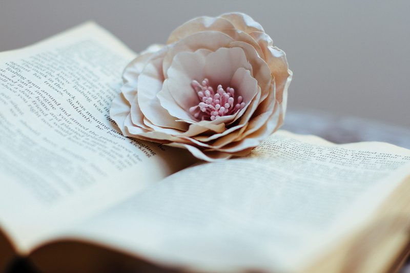 close-up, flower, food, nature, petal, open, paper, belief, flower head, page, selective focus, love, publication, various, 4K, book, freshness, beauty in nature