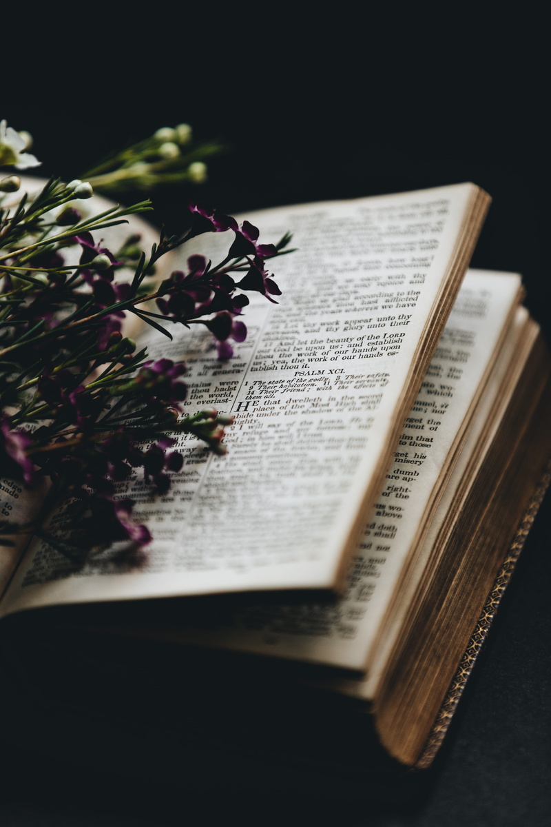 flower, table, paper, indoors, purple, bookpage, publication, literature, page, book, opened, bouquet, reading, open, selective focus, black background