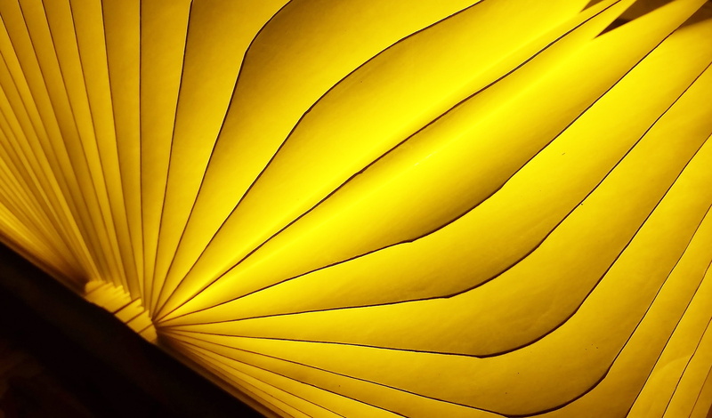 textile, plant, growth, abstract, knowledge, pattern, beauty in nature, Book, plant part, fan shaped, Table Lamp, flower, day, page, still life, arc, relax