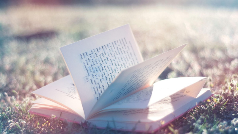 paper, grass, depth of field, outdoors, reading, communication, education, selective focus, sunlight, books, text, nature, close-up, 2K, open, activity