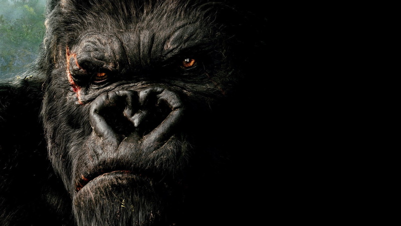 1080P, king kong 2005