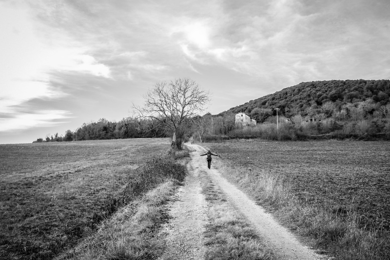 non-urban scene, diminishing perspective, toscana, gray, outdoors, environment, cloud - sky, walking, landscapes, girl, field, plant, landscape, beauty in nature
