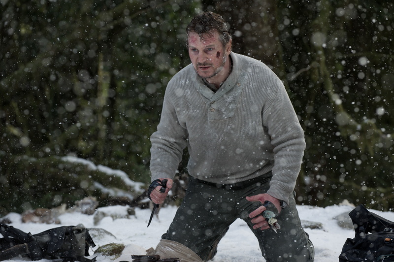 cold temperature, nature, Fight, three quarter length, warm clothing, mature men, leisure activity, snowing, outdoors, forest, males, real people, winter