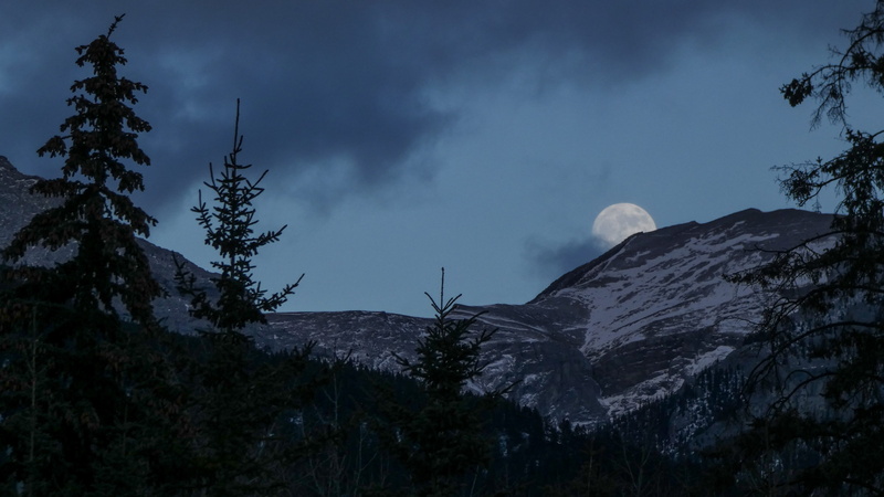 moon, space, night, non-urban scene, winter, tranquility, sky, outer space, landscape, fir, scenics - nature, outdoors, astronomy, partially