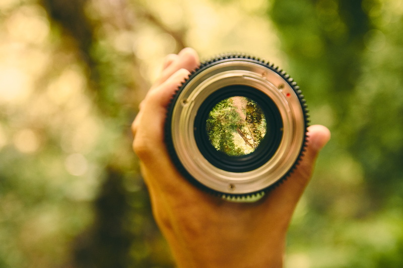 blur, human limb, 4K, human hand, nature, hand, human body part, monchique, adult, outdoors, tree, lens, background, body part, camera - photographic equipment