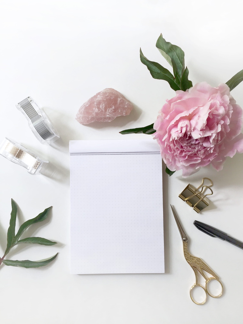 paper, spring, rose - flower, moderncalligraphy, publication, art, flower arrangement, rose, typography, book, letters, plant, still life, brushlettering