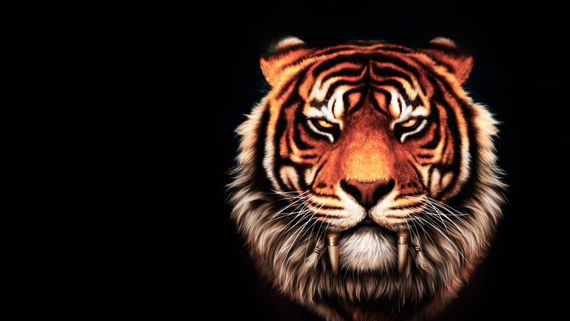 no people, animal, cat, animals in the wild, animal eye, animal themes, feline, animal wildlife, whisker, the leader, studio shot, fantasy, striped, animal body part