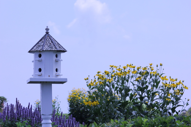 leisure, plant, freshness, building, architecture, field, beauty in nature, religion, sky, land, fragility, built structure, 5K, nature, flower, outdoors