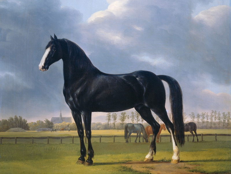 picture, oil, animals, horse, 1080P, Fastest Trotter in the Meadow, canvas, Anthony Oberman
