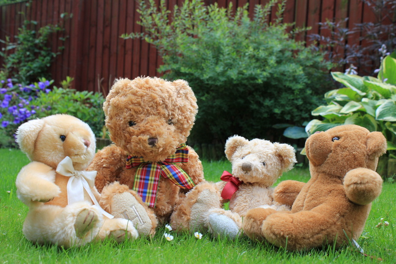 representation, brown, loveable, day, fluffy, soother, snuggle, Teddy, friendship, best friend, childhood, sitting, nature, background, hug, people, outdoors
