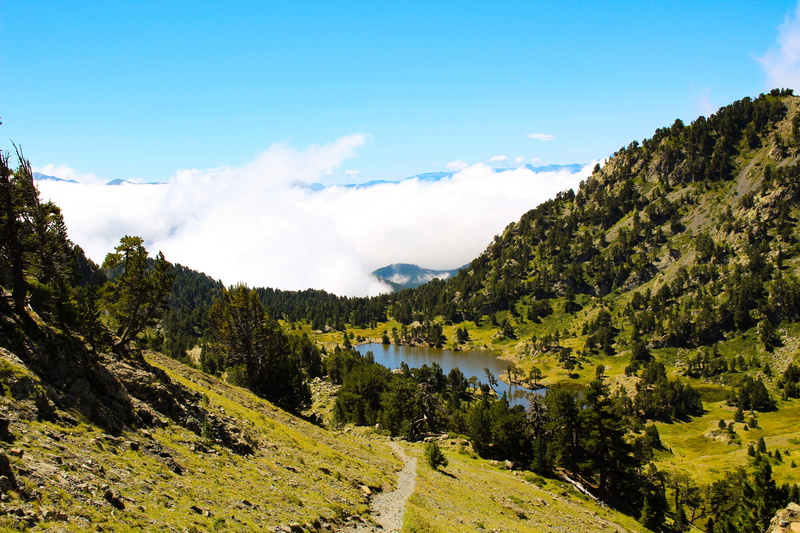 clouds, land, 5K, tourism, tranquility, mountain, outdoors, based, panoramic, idyllic, scenics - nature, alps, tree, day, mountain pastures, non-urban scene