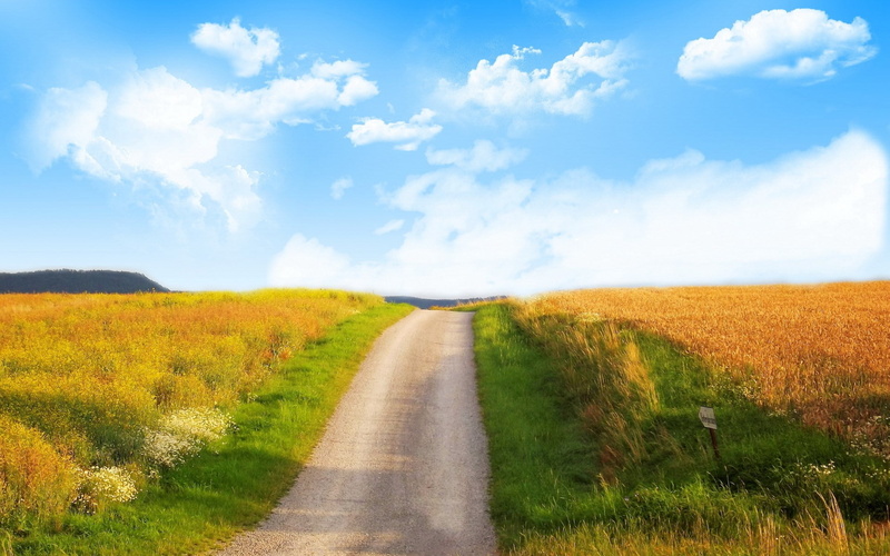 scenics - nature, plant, long, cool background pictures nature 1920x1200, no people, direction, nature, diminishing perspective, tranquil scene, horizon over land