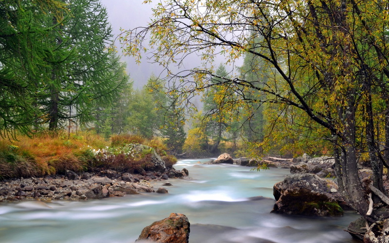 cool background pictures nature 1920x1200, 1080P