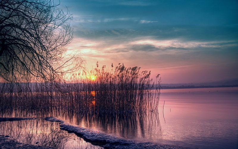 cloud - sky, nature, tranquil scene, non-urban scene, romantic sky, orange color, dramatic sky, idyllic, lake, bare tree, sunset, tranquility, 1080P, plant